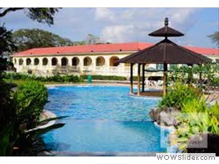 Garden and Pool